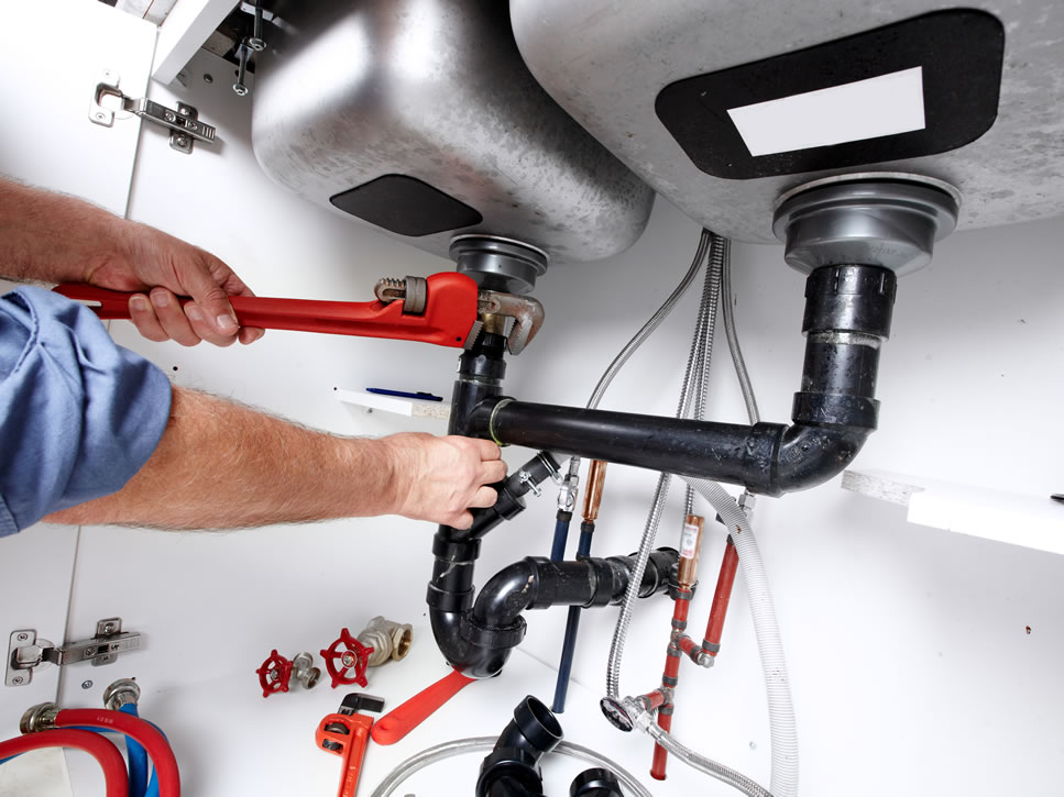 Enhancing Your Property's Beauty and Protection